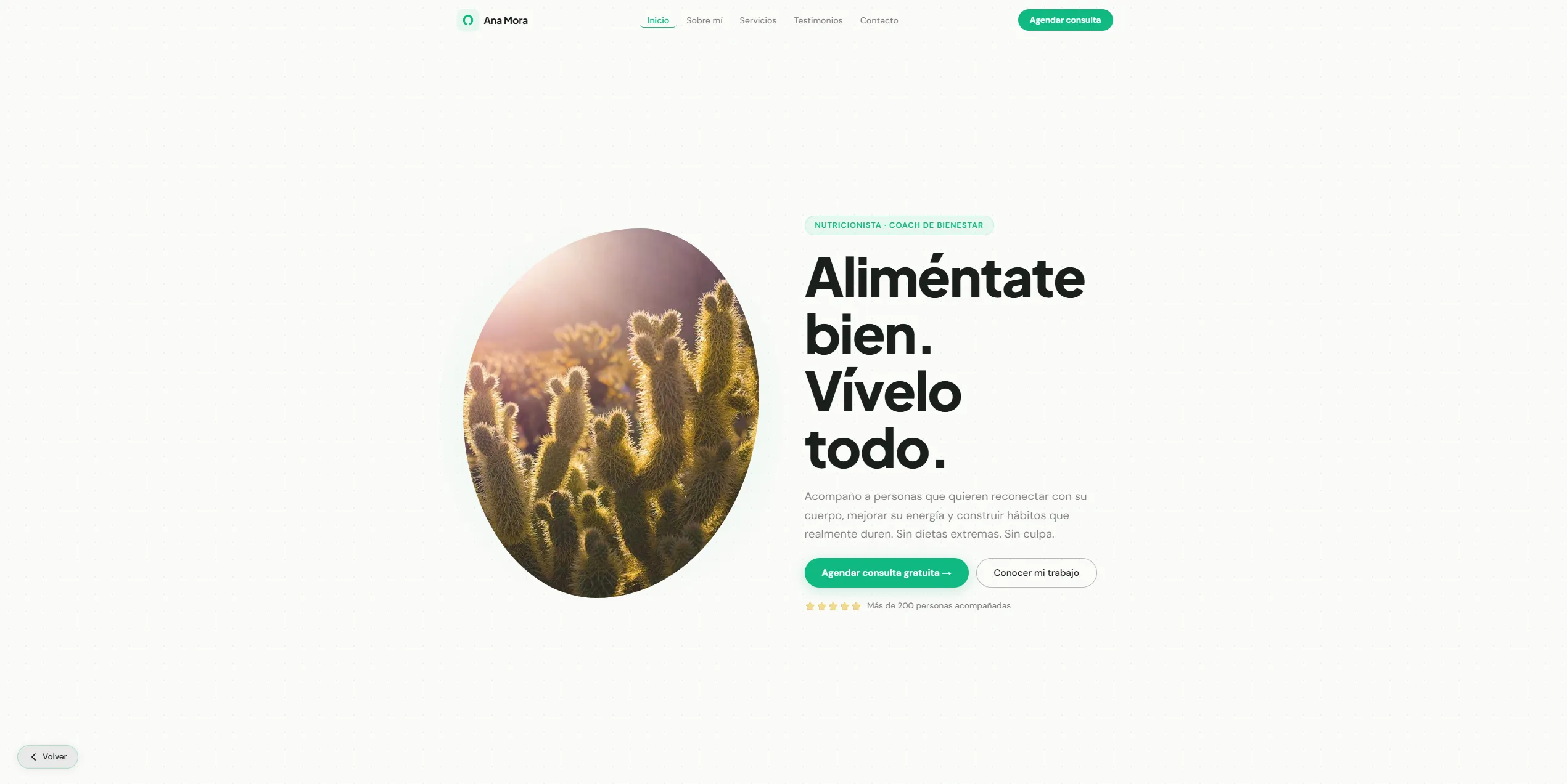 Preview del template Brisa para negocios locales